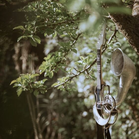instrument dans les branches