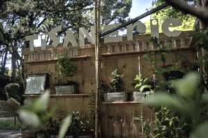 Menthe et verveine du bois de la musse et de la petite ferme urbaine
